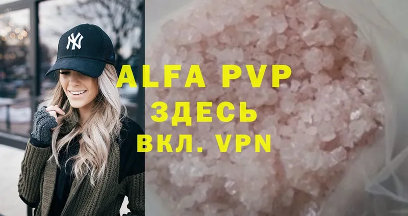 MEGA как войти  что такое   Зубцов  Alpha PVP СК 